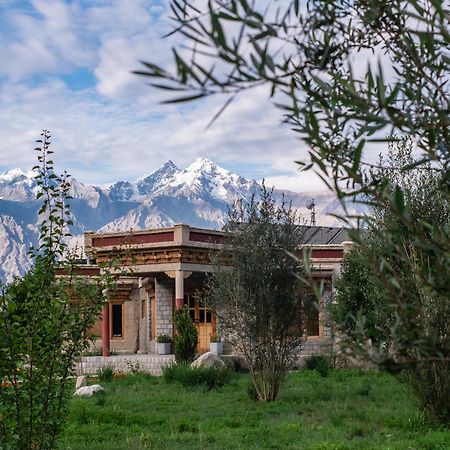 Lchang Nang Retreat-The House Of Trees-Nubra Valley Hotel Sumur Exterior foto